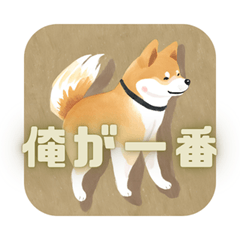 [LINEスタンプ] おれさま柴犬