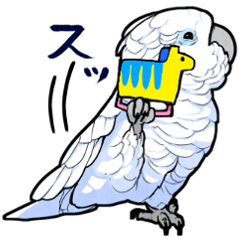 [LINEスタンプ] いたずらオウムのスタンプ4