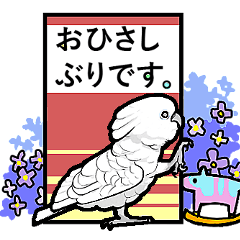 [LINEスタンプ] いたずらオウムのスタンプ2