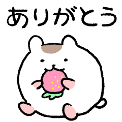 [LINEスタンプ] ハムスターのスタンプ！毎日使えるはむはむ