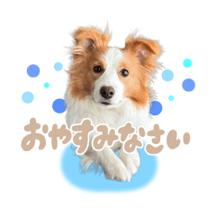 [LINEスタンプ] はなモコルルちゃん