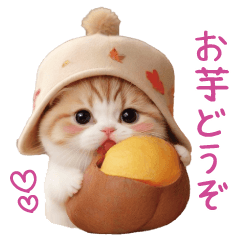 [LINEスタンプ] 秋の気遣い 可愛いスコティッシュ猫 日常