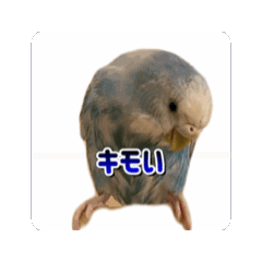 [LINEスタンプ] くそぴーに幸あれ