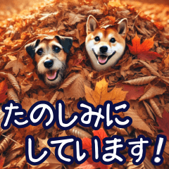 [LINEスタンプ] 秋を感じる犬たちのスタンプ