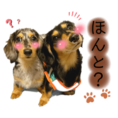 [LINEスタンプ] しえるとのえるの日常の画像（メイン）