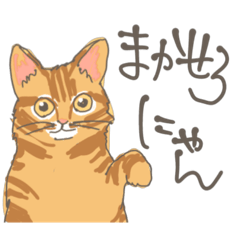 [LINEスタンプ] 茶トラ猫だにゃん