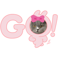 [LINEスタンプ] ぽースタンプ1サイベリアン^_^⭐︎