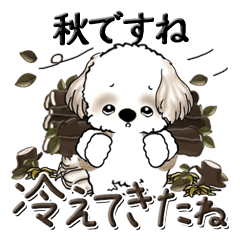 [LINEスタンプ] 基本？のシーズーちゃん『秋』の画像（メイン）