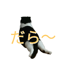 [LINEスタンプ] しろくろニャオ