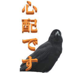 [LINEスタンプ] 仕事用で使う言葉をカラスから2ーBIG