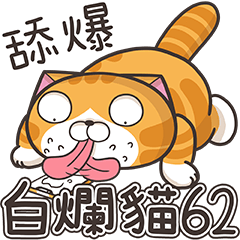 [LINEスタンプ] ランラン猫 62 (台湾版)