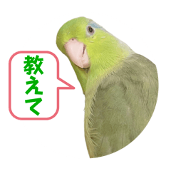 [LINEスタンプ] マメルリハ達21