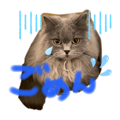 [LINEスタンプ] ぽースタンプ2サイベリアン^_^⭐︎