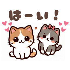 [LINEスタンプ] かわいい猫たちの日常スタンプ