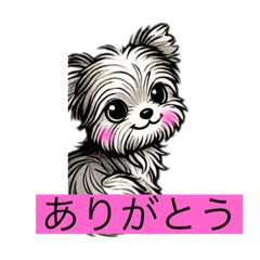 [LINEスタンプ] 感謝と連絡のヨークシャテリア