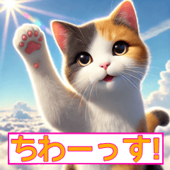 [LINEスタンプ] おしゃべりな三毛猫達