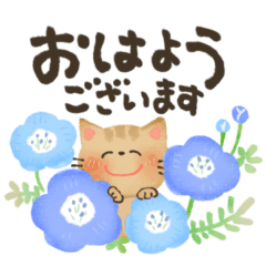 [LINEスタンプ] 毎日つかえる♡にっこり猫と前向き幸せ言葉の画像（メイン）