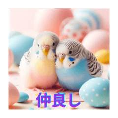 [LINEスタンプ] カワイイ✨鳥達✨セキセインコ✨癒し✨