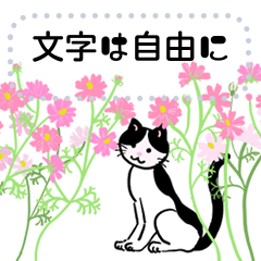 [LINEスタンプ] 秋と花と3匹の猫