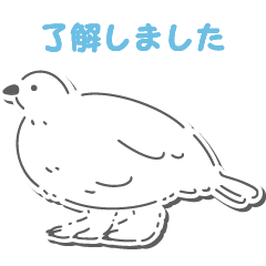 [LINEスタンプ] 珍しい動物たち シンプル 日常挨拶