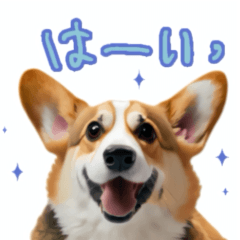 [LINEスタンプ] ウェルシュコーギーのシンプル犬スタンプ