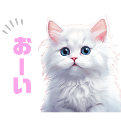 [LINEスタンプ] モフ猫さんたち