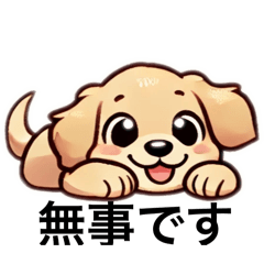 [LINEスタンプ] 感謝と連絡のゴールデンレトリバー