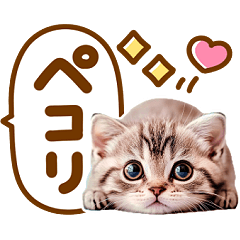 [LINEスタンプ] デカ文字♡にゃんこの画像（メイン）