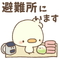 [LINEスタンプ] あひすた18 防災＆緊急連絡