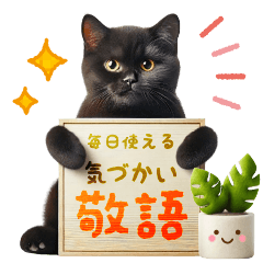 [LINEスタンプ] クロネコのきづかい敬語