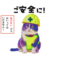 [LINEスタンプ] 仕事で使える現場の猫② カラフル リアル