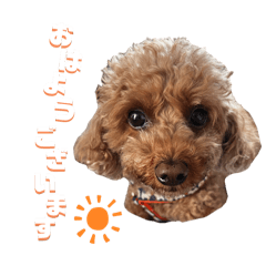 [LINEスタンプ] チョコ 汎用スタンプ