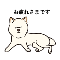 [LINEスタンプ] くろしばしろしばらいふ