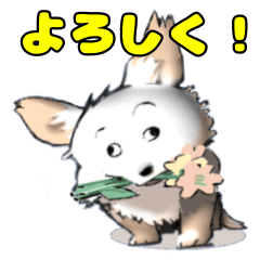 [LINEスタンプ] Y GENZA sticker 犬のクー君