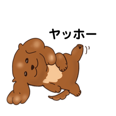 [LINEスタンプ] キャバプーのデイジーちゃん(マンガ)