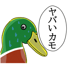 [LINEスタンプ] ヤバいカモ