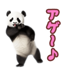 [LINEスタンプ] 踊る♪パンダ