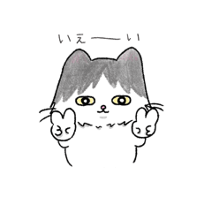 [LINEスタンプ] ハチワレ猫と仲間の日常6