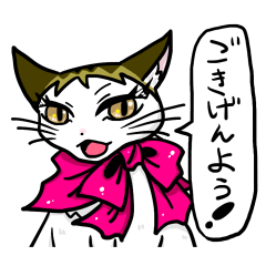 [LINEスタンプ] 気高い白キジ猫はふれあいたい