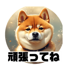 [LINEスタンプ] 柴犬 Gon