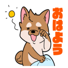 [LINEスタンプ] シバイヌ小鉄の日常スタンプ