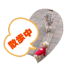 [LINEスタンプ] プードル 日常会話 犬