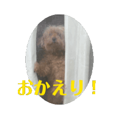 [LINEスタンプ] お気楽日和 ワンコ動画編