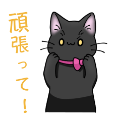 [LINEスタンプ] 黒猫のくろちゃんだよ