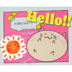 [LINEスタンプ] ねこの日常ひとことスタンプ