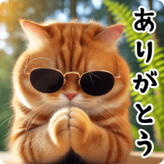 [LINEスタンプ] 森猫日和（もりねこびより）