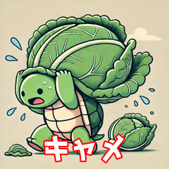 [LINEスタンプ] キャベツを背負うカメ