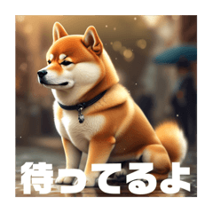 [LINEスタンプ] 男らしい柴犬シリーズ2