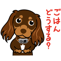 [LINEスタンプ] HELLO！！！ ダックスファミリー