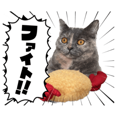 [LINEスタンプ] フクノア日和